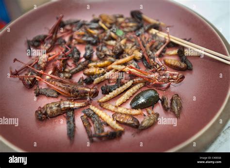 Insect Meal Food Fried On Plate Thailand Thai Thaifood Snack Insects Delicious Fine Cricket