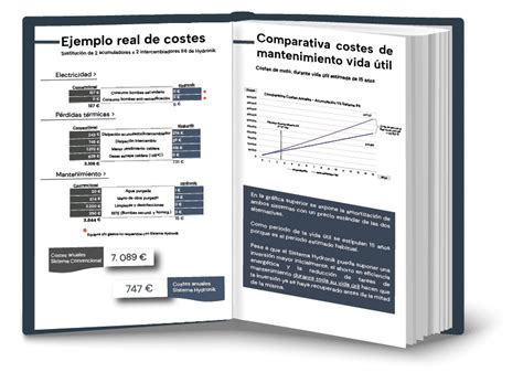 Costes De Mantenimiento En Sistemas De Producción Acs