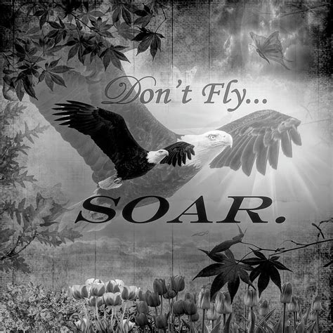 Dont Fly Soar In Black And White Digital Art By Debra And Dave