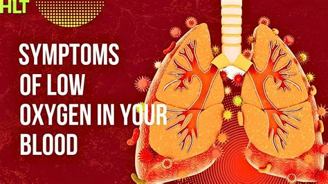 Symptoms Of Low Oxygen Levels In Your Blood Youtube