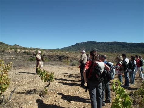 A La Recerca Del Tresor Del Priorat Walking And Wine Holidays In