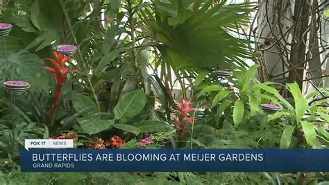 Butterfly Moth Exhibit Opens Its 28th Year At Frederik Meijer Gardens