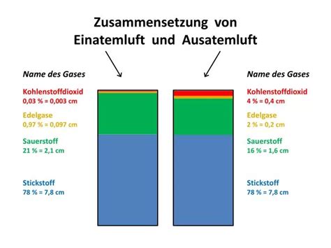 Ppt Zusammensetzung Von Einatemluft Und Ausatemluft Powerpoint