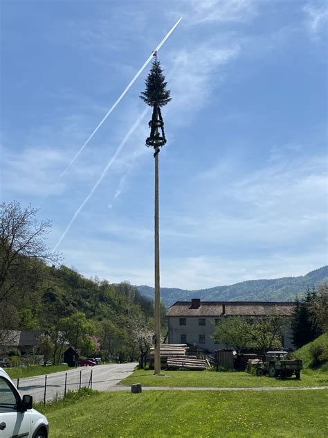 Maibaumaufstellen Freiwillige Feuerwehr Elsarn Am Jauerling