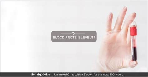 What is the reason for increased protein levels in my blood?