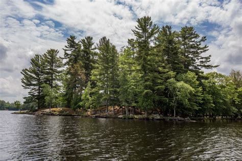lake muskoka   sarah tennant photographer