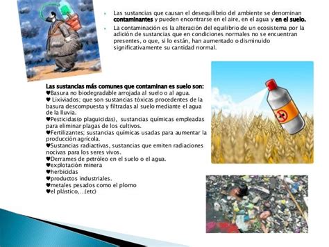 Contaminacion Del Suelo Causas Consecuencias Y Soluciones Resumen Images