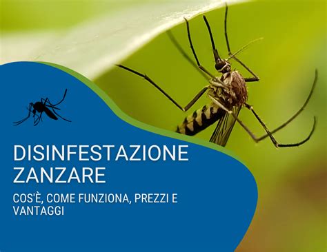 Disinfestazione Zanzare Quanto Costa Vantaggi E Come Funziona