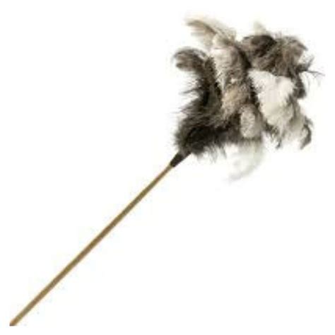 feather duster long superb hyper