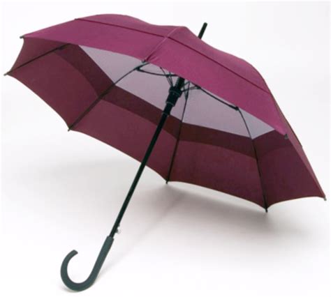 Windbrella Fashion Umbrella | Auto-Open Umbrella | J-Handle