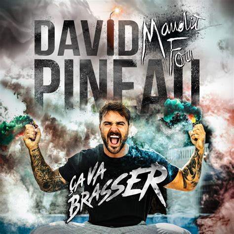 Ça va brasser Album by David Pineau Spotify