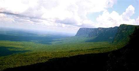 O El Dorado é aqui Parque Estadual da Serra do Aracá Barcelos