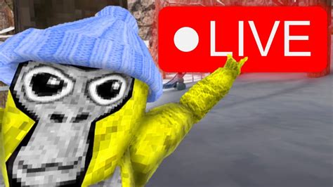 Gorilla Tag LivePlaying With Viewers Tag Minigames And MoreRoad To