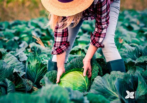 Verduras Congeladas Sector Que Impulsa El Empleo Femenino