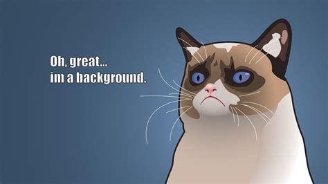 Cartoon Cat Wallpapers - Wallpaper Cave