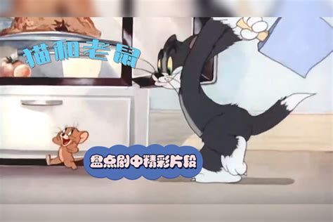 猫和老鼠：盘点剧中精彩片段，汤姆追打杰瑞，原来是为了演戏 汤姆 杰瑞 片段