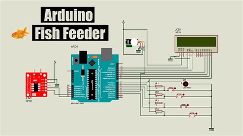 How To Make Arduino Fish Feeder Ultimate Guide Youtube