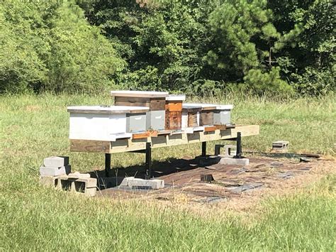 Metal Hive Stand With Adjustable Legs Foxhound Bee Company