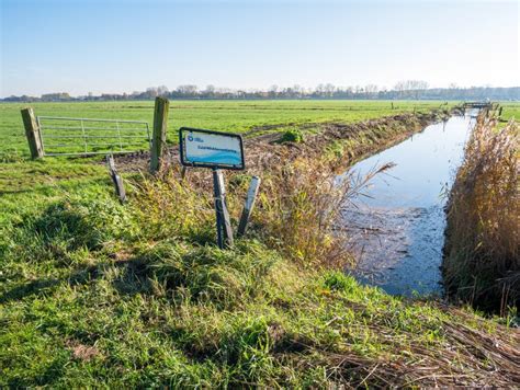 Drainage Ditch And Open Gate Leading On To Meadow In Polder Eempolder