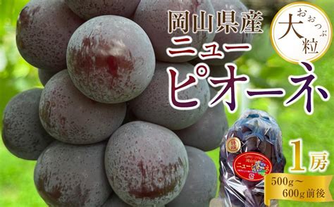 ぶどう 2025年 先行予約 岡山県産 大粒 ニューピオーネ 1房（600g以上）農園直送 朝採れ 岡山市anaのふるさと納税