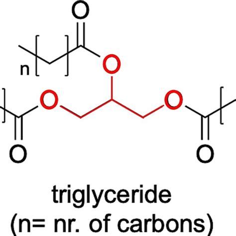 Typical structure of a triglyceride. Triglycerides are formed from a ...