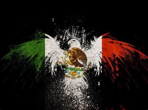 Best Mexican Photo Representing Mexican National Flag Good Idea For A