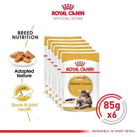 Jual 2X Royal Canin Hair Skin Care Makanan Kucing Dewasa Dry 400gr