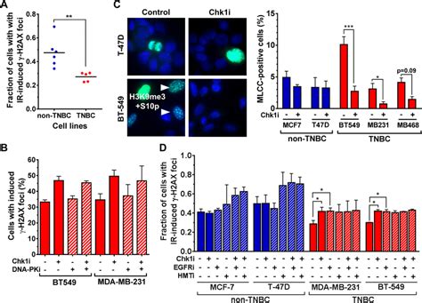 Chk Dependent Radiosensitization Correlates With Mitosis Like