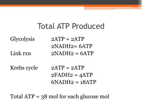 PPT - KREBS CYCLE PowerPoint Presentation, free download - ID:2064185