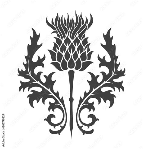 thistle, heraldic symbol of Scotland Stock Vector | Adobe Stock