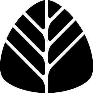 obowiazki przewoznika przy przyjeciu towarow  miedzynarodowym