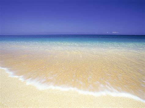 Free Beach Screensavers and Wallpaper - WallpaperSafari