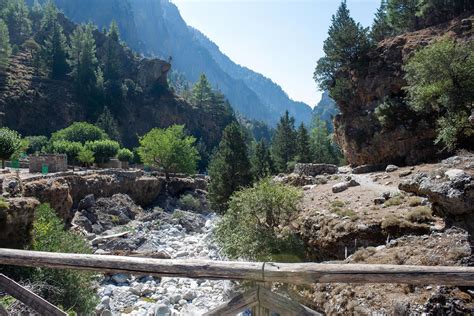 forest and mountain landscape, trails of travelers and mountains in the