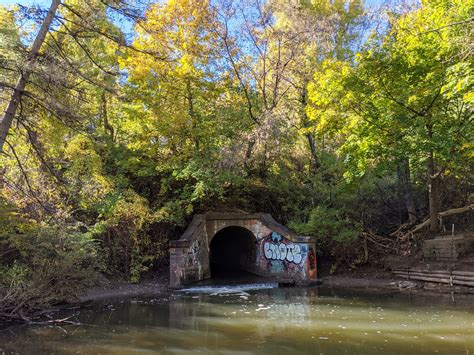 Vosburg Hollow Nature Trail – Friends of Webster Trails