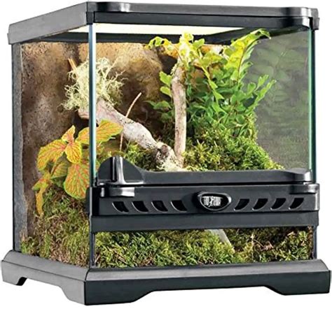 Cute Jumping Spider Enclosure Ideas - Top 5 Enclosures Reviewed ...