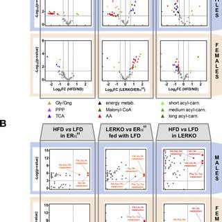 Hepatic Era Deficiency Limits Hfd Induced Lipid Accumulation In Males