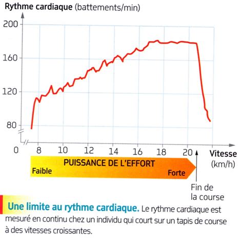 Limites De L Organisme L Effort Vo Max