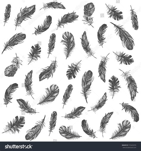 Vector Black White Feather Pattern Stock Vector (Royalty Free ...