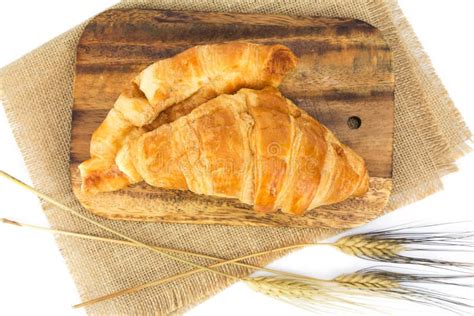 Fresh Croissant Isolated On White Background Stock Photo Image Of