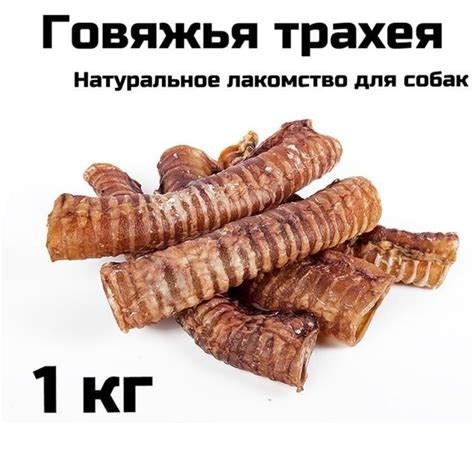 Говяжья трахея / Лакомства для собак мелких пород для дрессировки ...