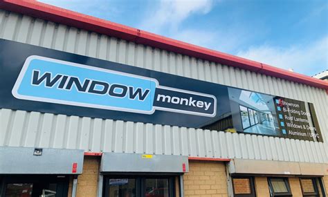 Faithful Window To Monkey Madness Steamything Wild And Raw