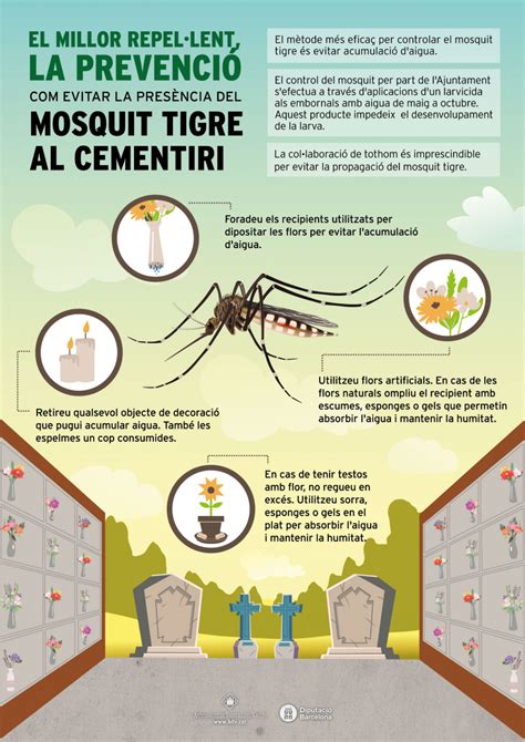 Campaña municipal para evitar la proliferación del mosquito tigre El