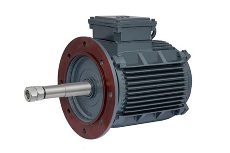 Cooling Tower 3 Phase Induction Motor Manufacturer Supplier Exporter