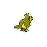 Pidgey sprites gallery | Pokémon Database