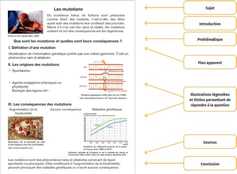 Réaliser un exposé Lelivrescolaire fr