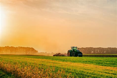 In Arrivo 100 Milioni Di Euro Per Le Imprese Agricole Al Via Bando