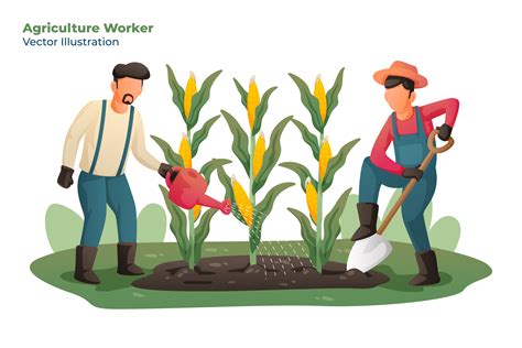 Agriculture Worker - Illustration | Illustrator Graphics ~ Creative Market