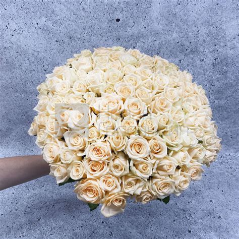 Купить 101 свежую розу по низкой цене с доставкой.