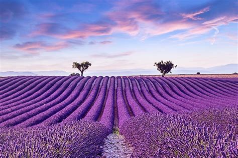 The Regions of France - WorldAtlas.com