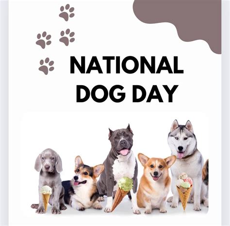 National Dog Day Cones 63 St Route 369 Binghamton Ny 13904 2549